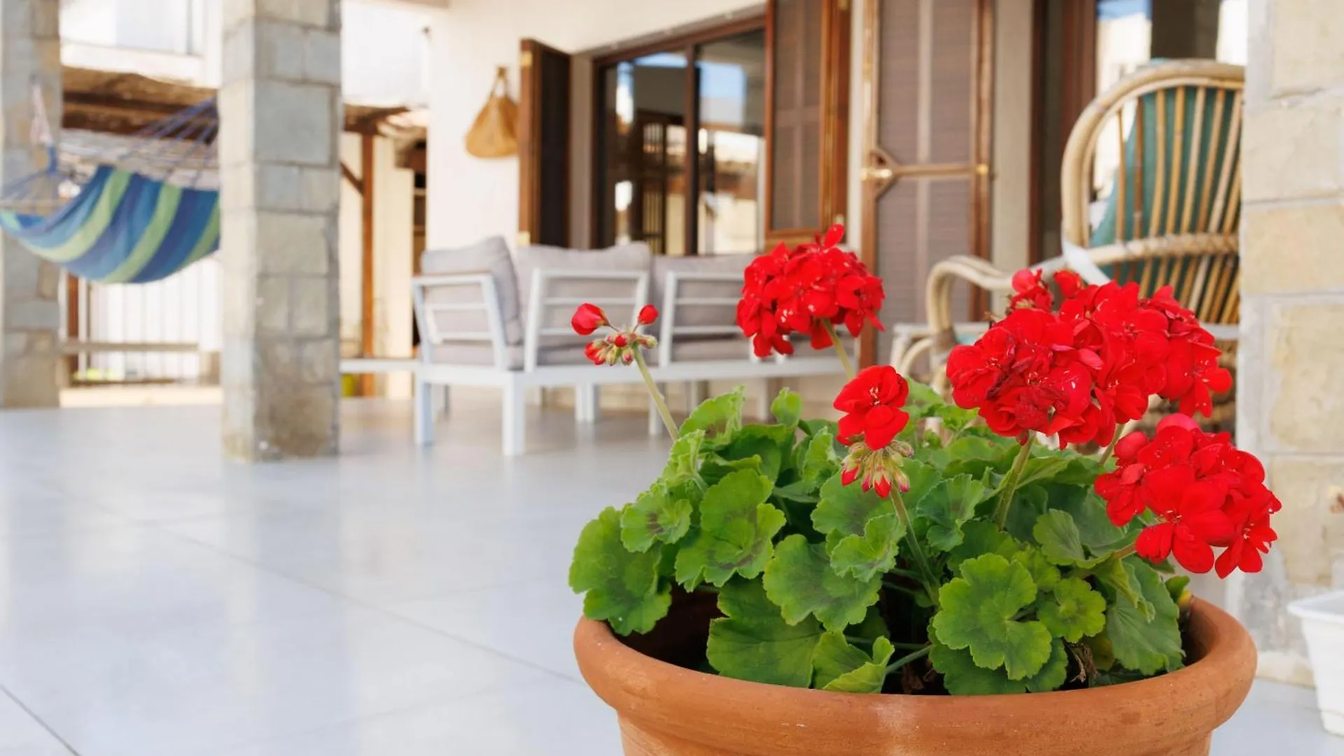 Villa Can Ordinas Alcudia  0*, Alcudia (Mallorca)